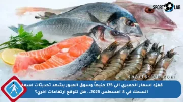 قفزة أسعار الجمبري إلى 175 جنيهاً وسوق العبور يشهد تحديثات أسعار السمك في 8 أغسطس 2025.. هل تتوقع ارتفاعات أخرى؟